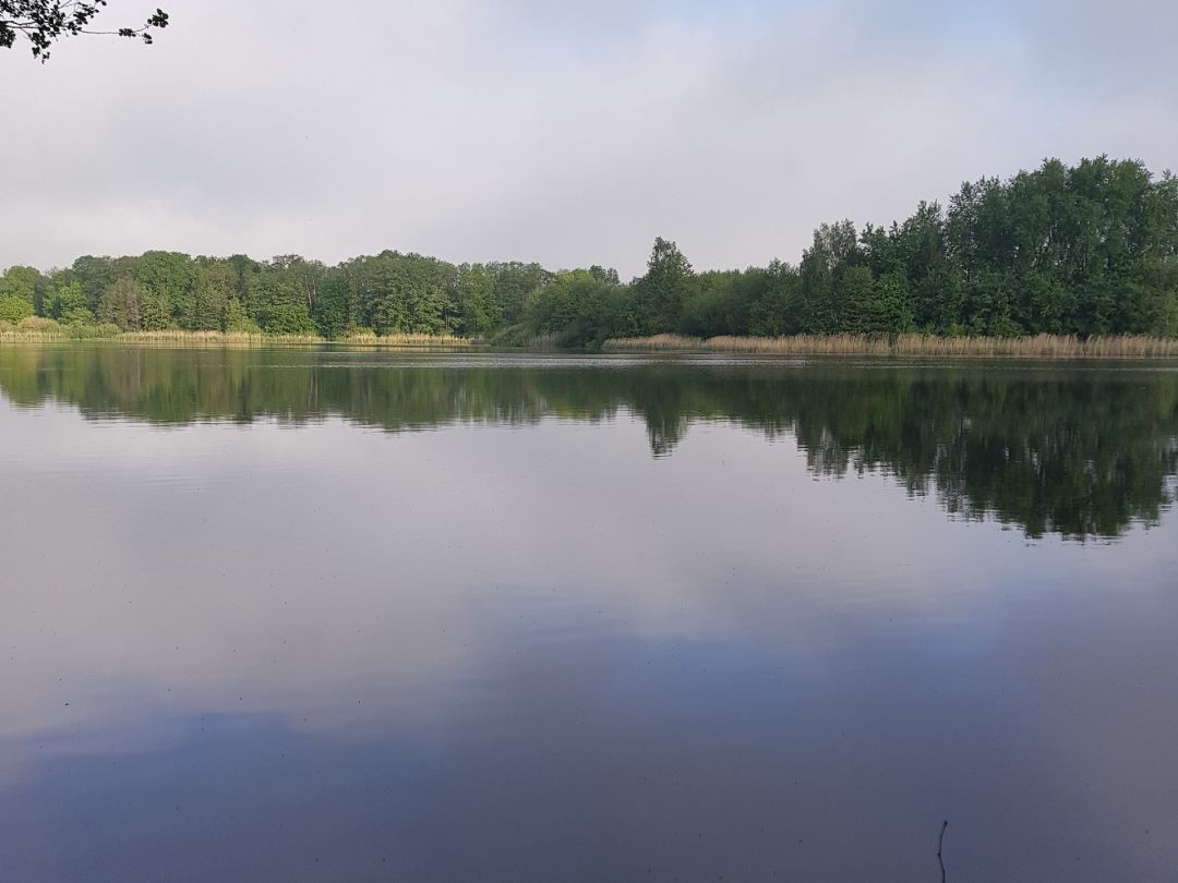 Waschweiher angeln