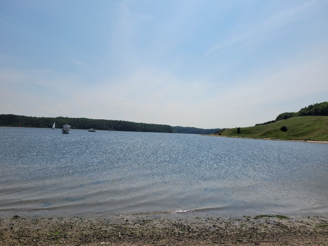 Trave (Dummersdorfer Ufer) angeln