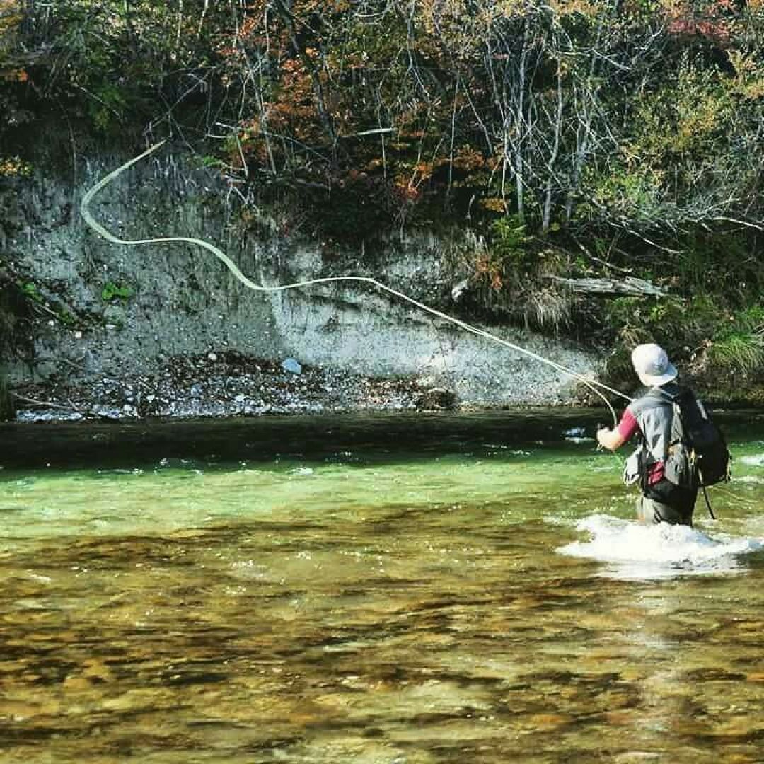 Isar (Wolfratshausen) angeln