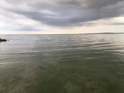 Ostsee (Hohwacht)