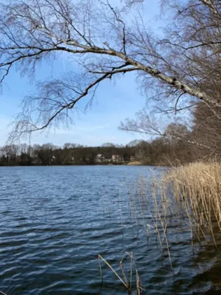 Priestersee (Grünheide)