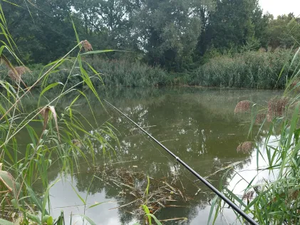 Fischteiche Marx (Wüstenjerichow)