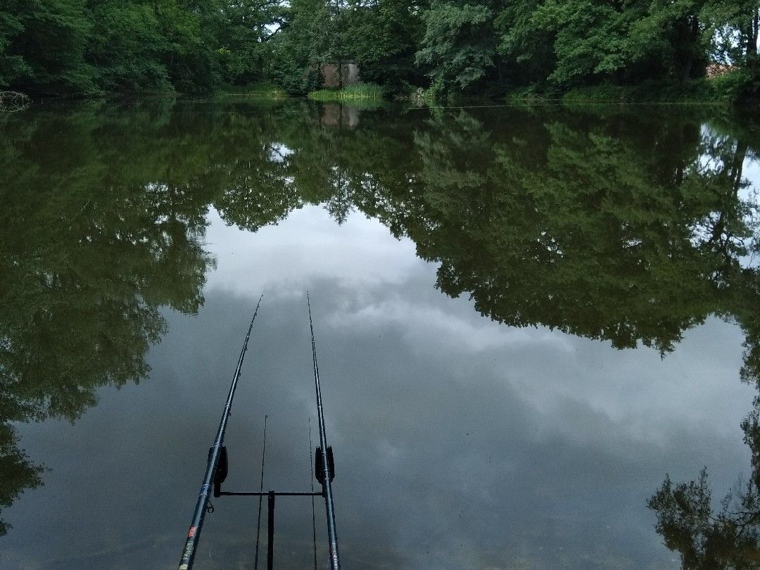 Mühlenteich Ovelgönne angeln