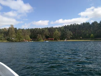 Dreetzsee (Feldberger Seenlandschaft)