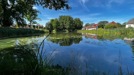 Zaatzker Teich