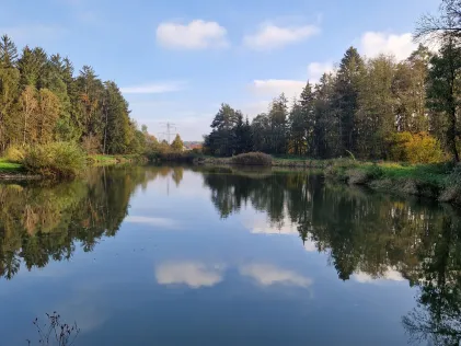 Herpersdorfer Weiher
