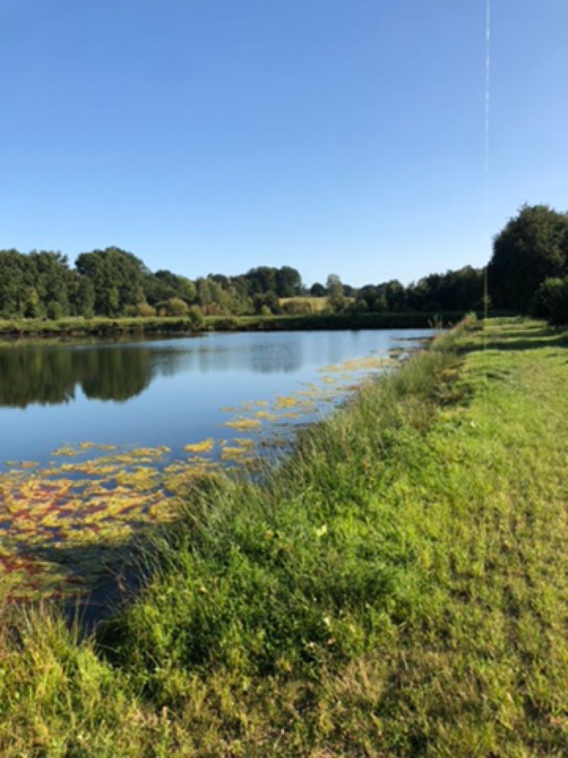 Angeln in Fürstenau