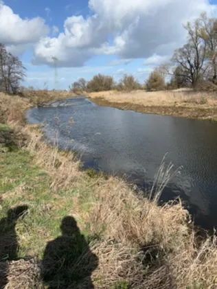 Alte Mulde Wellaune