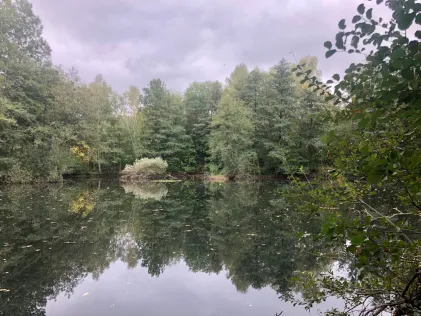 Sandteich (Lauchhammer)