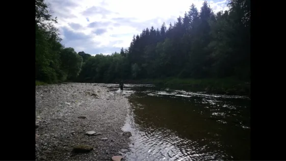 Traun (Traunreut)