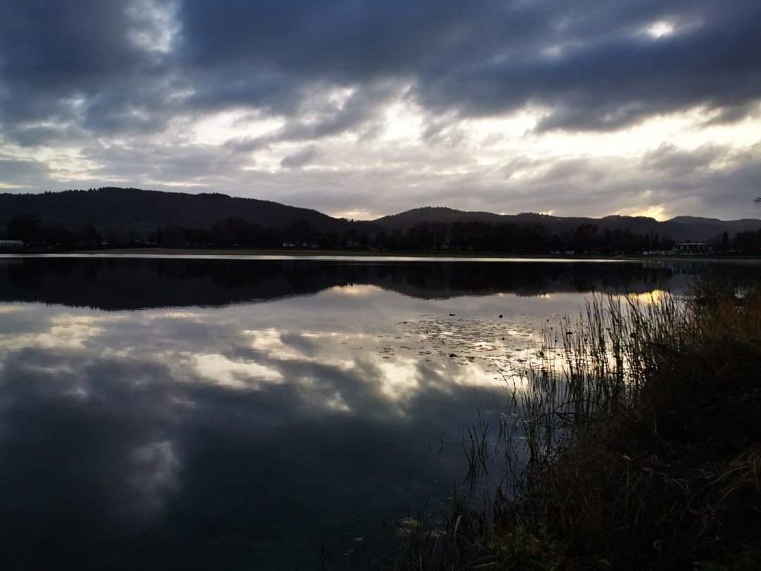 Wiesensee (Hemsbach) angeln