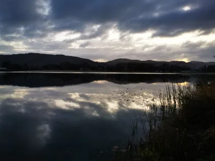 Wiesensee (Hemsbach)
