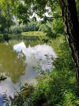 Angelteich Sedetal