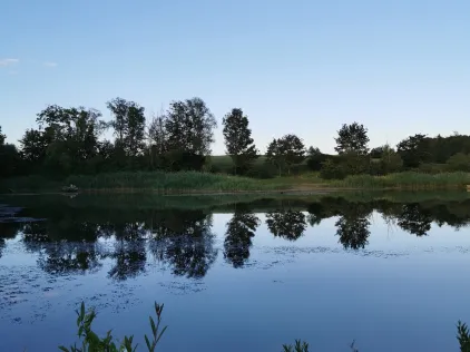 Lendsiedler See