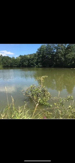 Sägeweiher (Schopfloch)