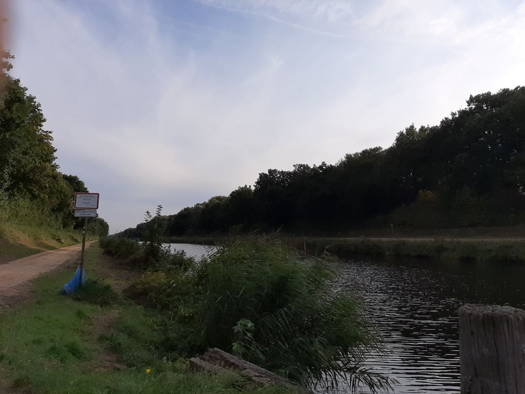 Elbe-Lübeck-Kanal (Grambek) angeln