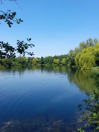 Kiesee Hillerse