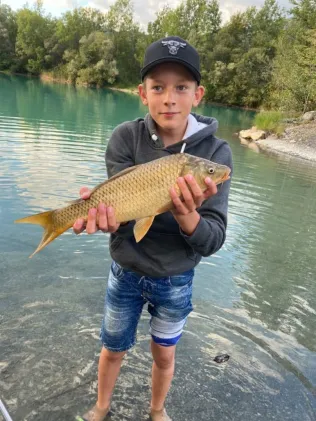 Galinasee