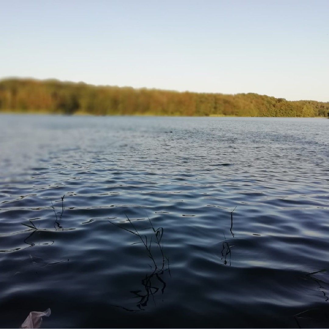 Drüsensee angeln