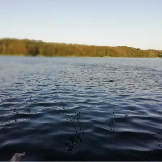 Drüsensee