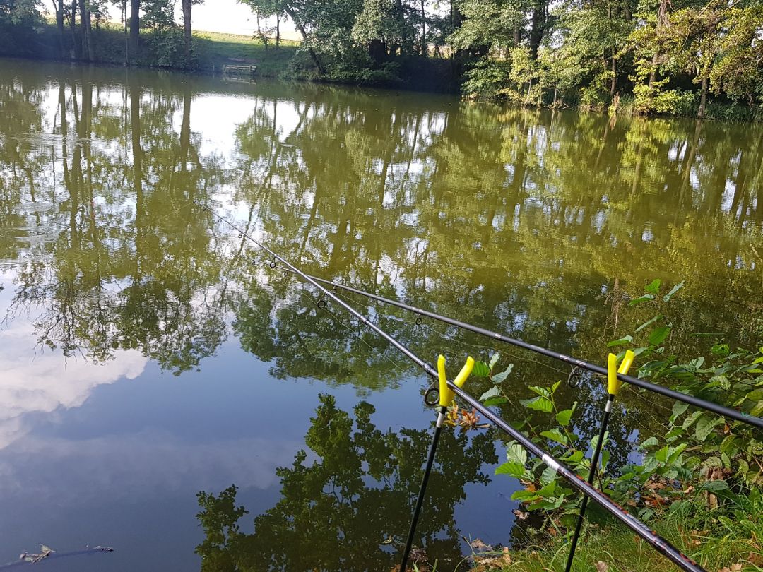 Neuer Teich (Meineweh) angeln