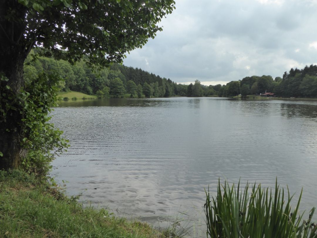 Auwtalsperre angeln
