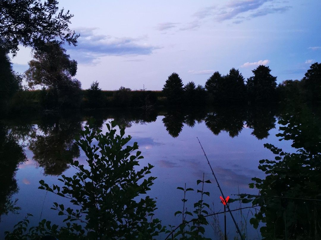 Betzenweiher (Allershausen) angeln