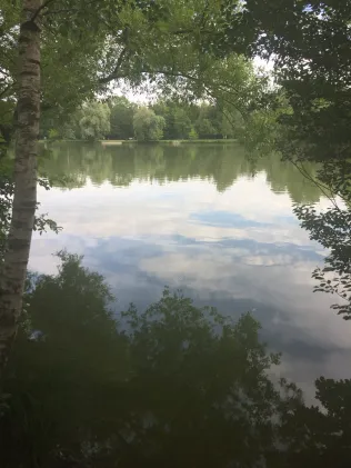 Taxetweiher
