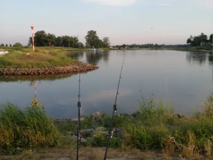 Elbe (Coswig/Anhalt)