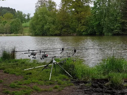 Pechtelsgrüner Weiher