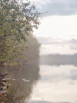 Möwensee (Nordhausen)