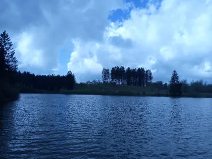 Oberer Pfauenteich (Clausthal-Zellerfeld)