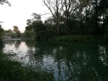 Isararm Plattling