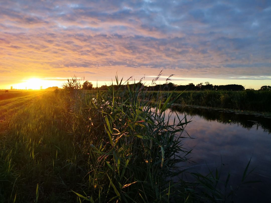 Oldenburger Graben (Dahme) angeln