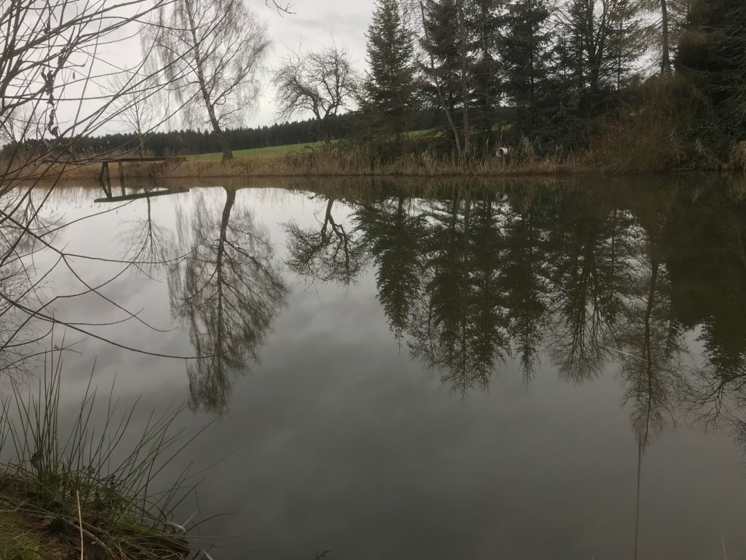 Oberweiler Weiher angeln