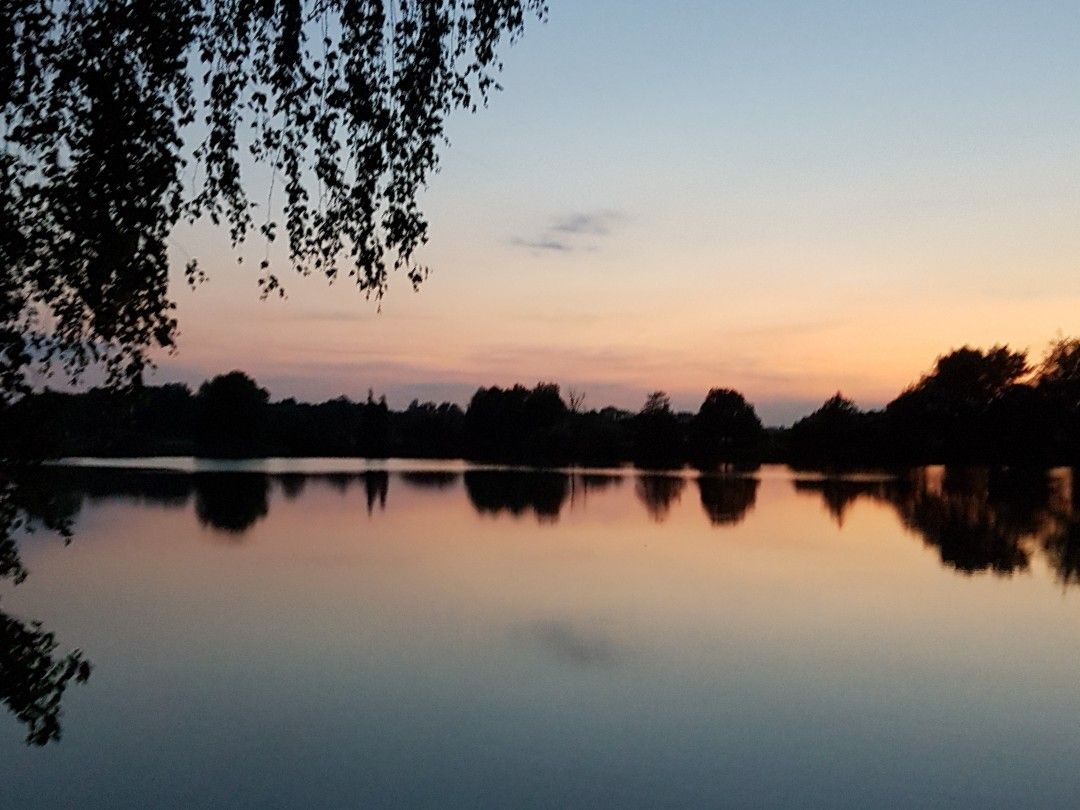 Schlottweiher (Hengersberg) angeln