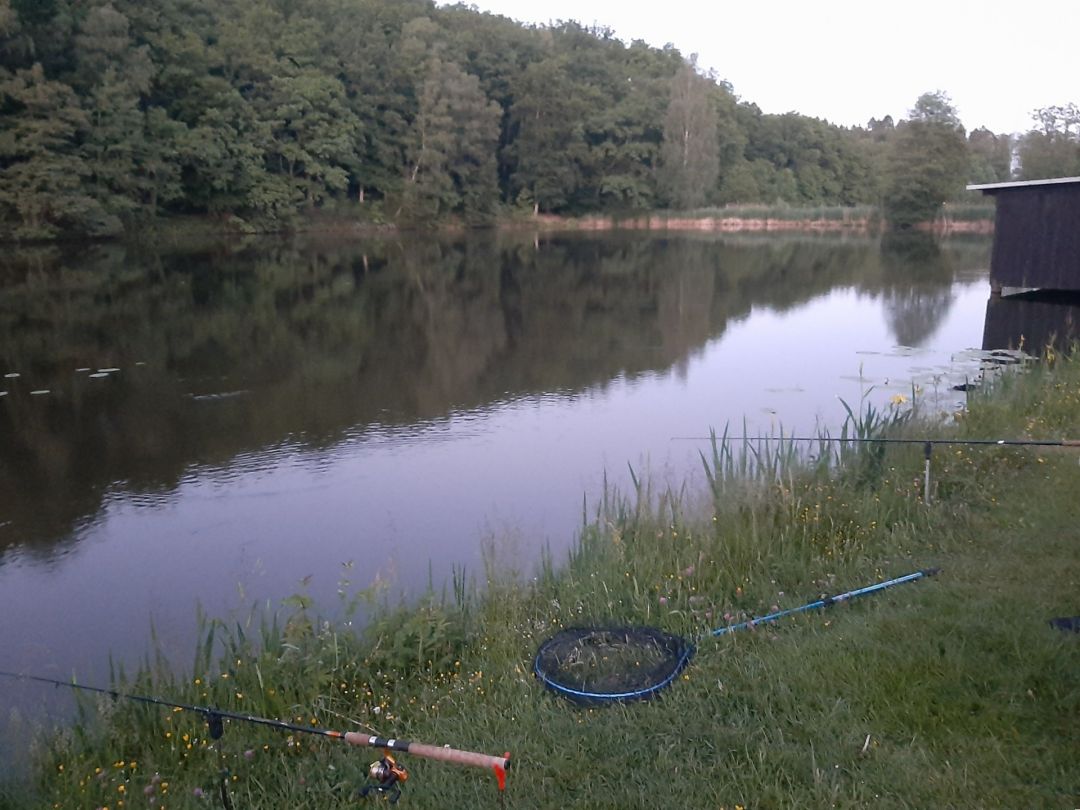 Oberer Hüttenweiher (Müsen) angeln