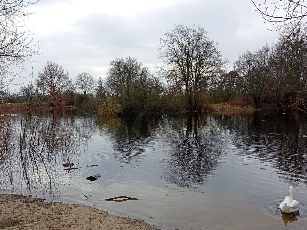 Krummer See (Vogelsdorf) angeln