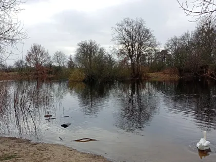 Krummer See (Vogelsdorf)