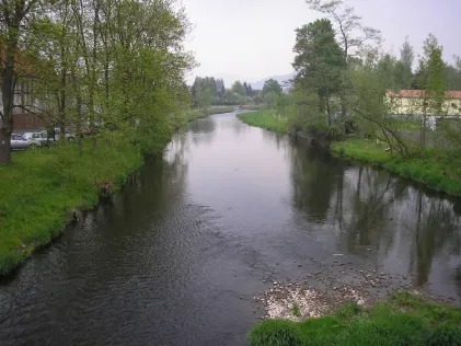 Ulster (Geisa)