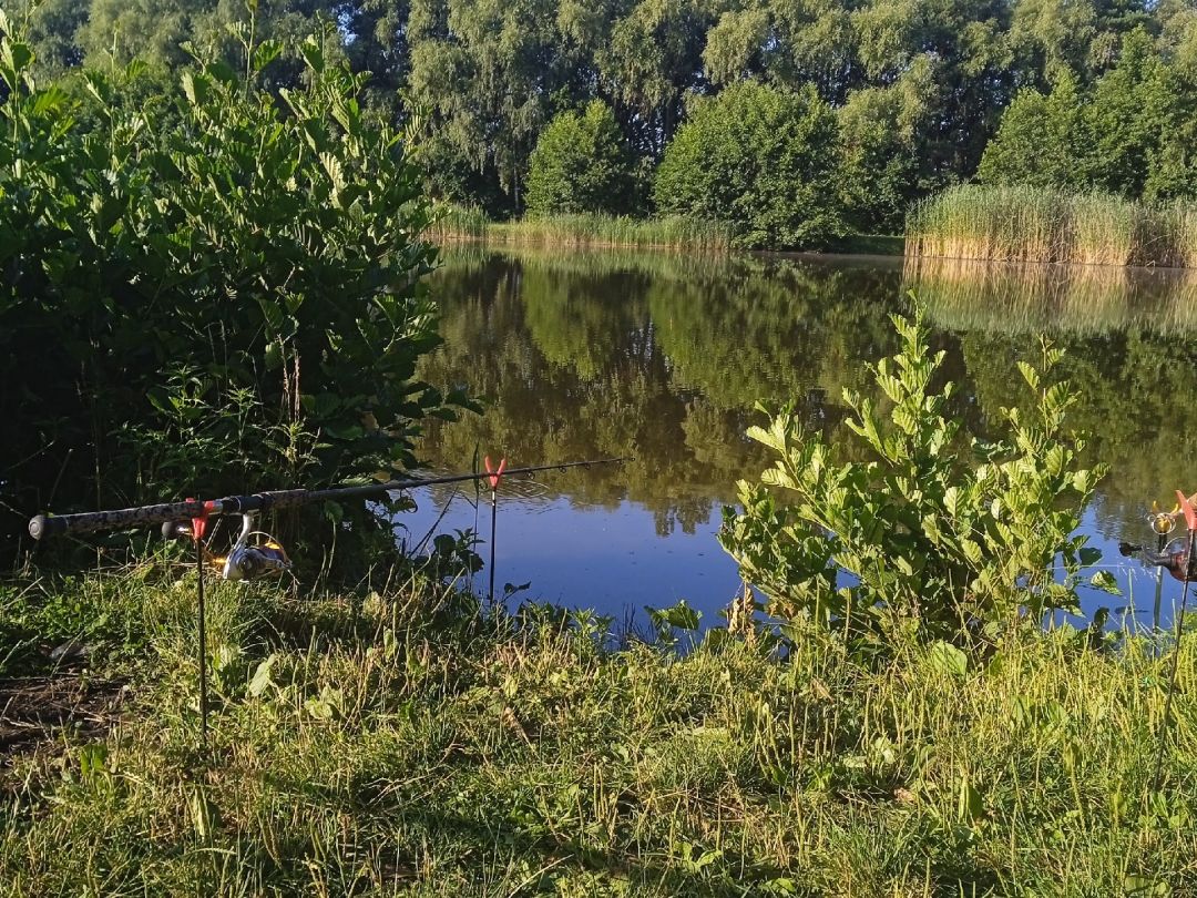 Kiesgrube Bernsdorf angeln