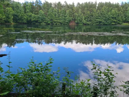 ASV Overhaken Vierhöfen See (Westergellersen)