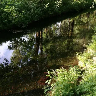 Sickergraben Isar 2 (links)