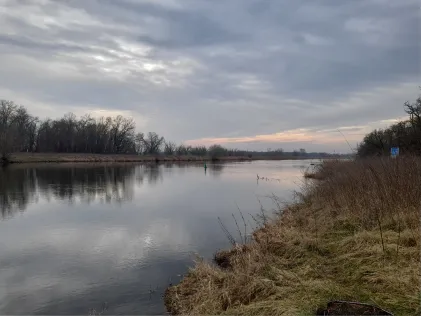Saale (Nienburg/Saale)