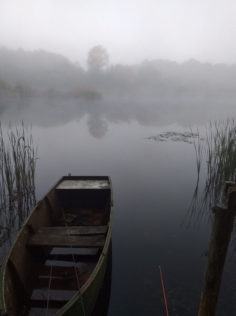 Moorsee (Käselow) angeln