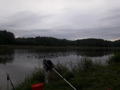 Wilschwitzer See