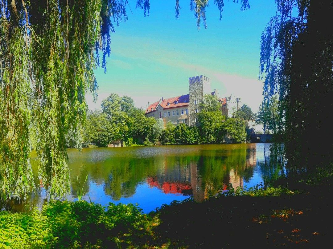 Mühlenteich (Flechtingen) angeln