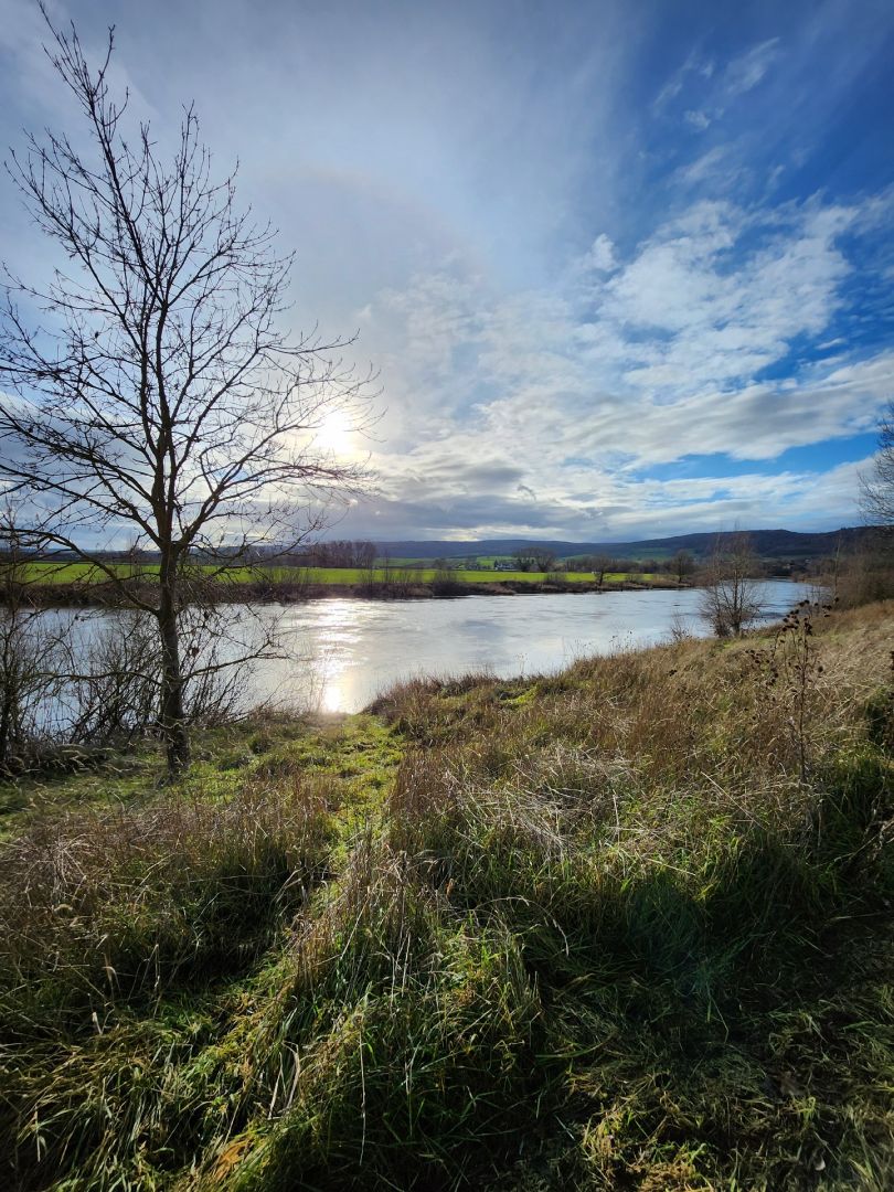 Weser (Hessisch Oldendorf) angeln