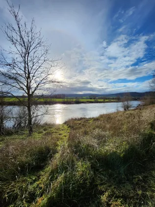 Weser (Hessisch Oldendorf)