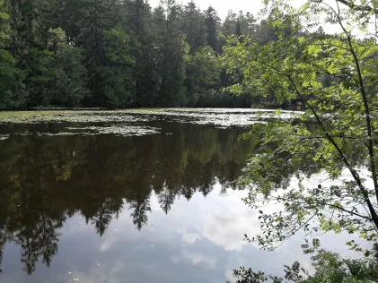 Schlüchtsee